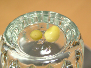 f0106557_0503861.jpg
