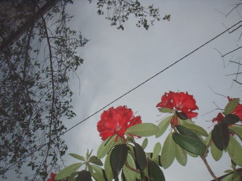 a0085663_21134465.jpg