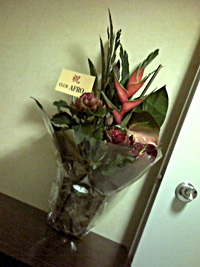 a0050669_23322022.jpg