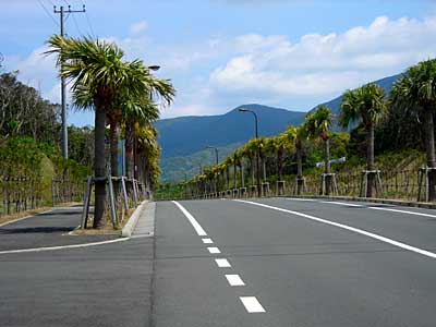 e0097770_1723553.jpg