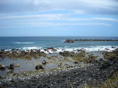 e0097770_20101363.jpg