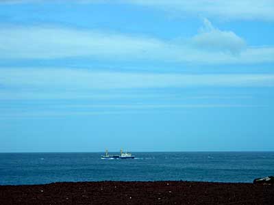 e0097770_2081399.jpg