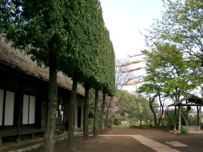 c0112172_17154.jpg