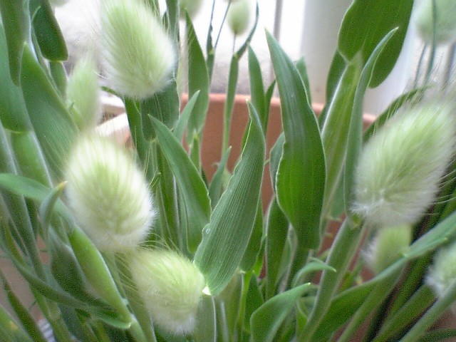 b0099274_15343552.jpg
