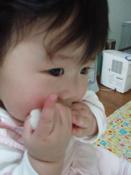 c0105177_1521540.jpg