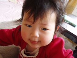 c0105177_1582622.jpg