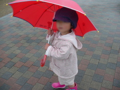 e0043777_1626260.jpg