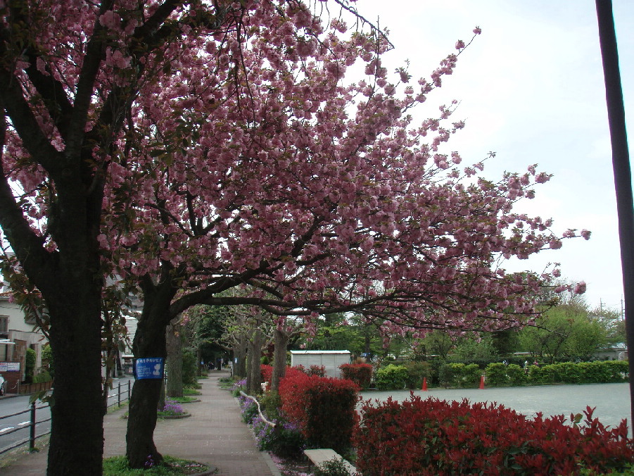 d0034291_2224408.jpg