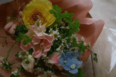 d0100192_2033416.gif