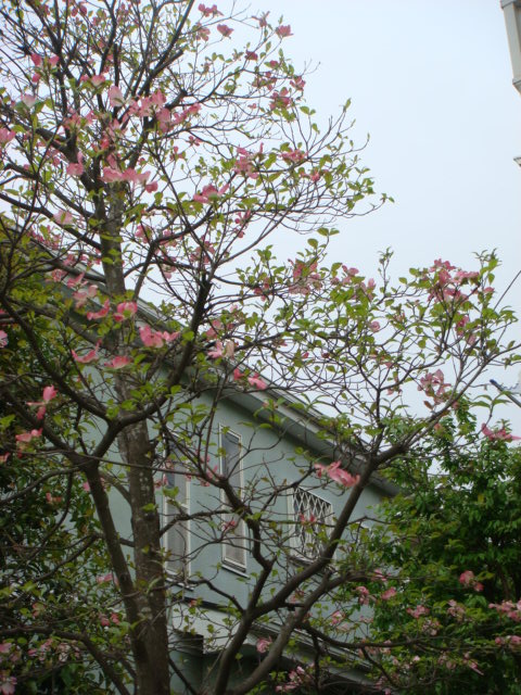 f0137694_23562887.jpg