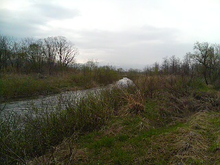 e0083097_9443917.jpg