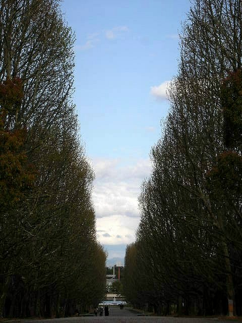 f0083400_18301470.jpg