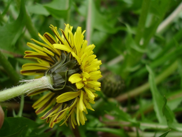 c0079001_21465445.jpg