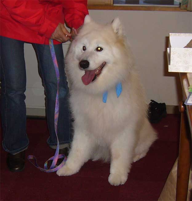 e0018604_7133951.jpg