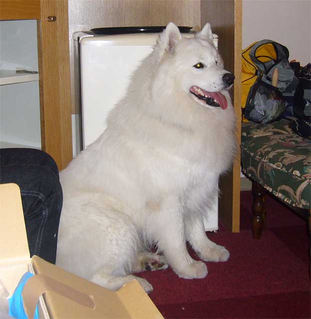 e0018604_7332373.jpg