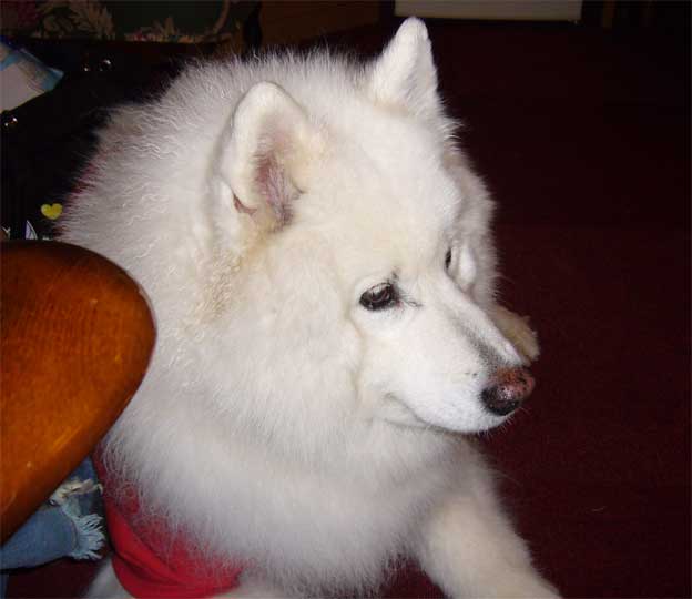 e0018604_7333251.jpg