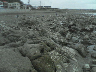 d0078105_21442266.jpg