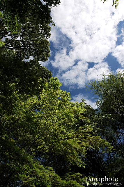 f0041908_0134950.jpg
