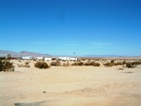 e0030810_2305170.jpg