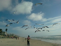 e0030810_2313999.jpg