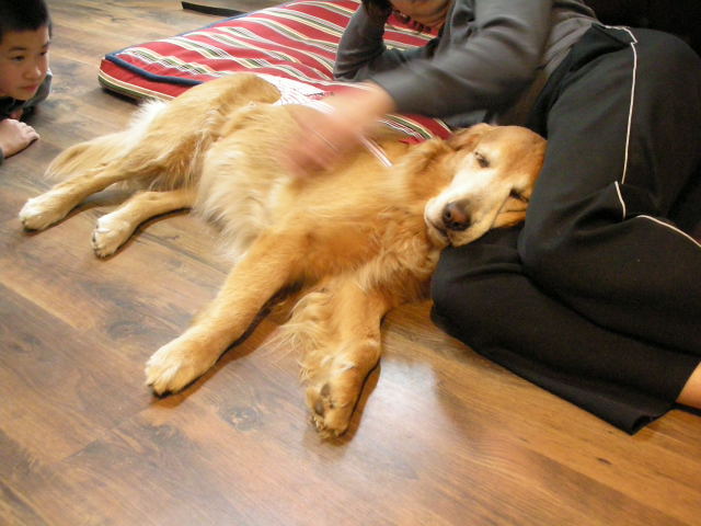 c0017311_11534688.jpg