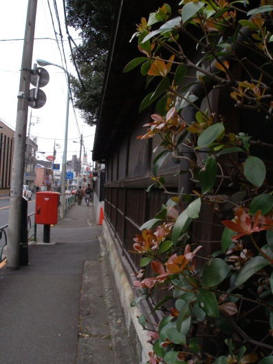 e0083212_16132984.jpg