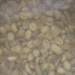 c0036617_13242958.jpg