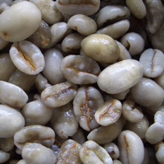 c0036617_13244641.jpg