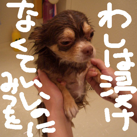 c0036617_13453217.jpg