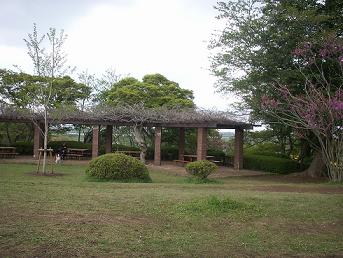 a0053420_1325986.jpg