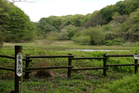 e0071225_22313281.jpg