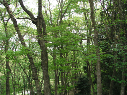 e0071225_2305213.jpg