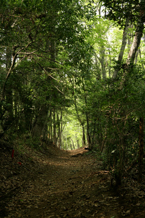 e0071225_2332360.jpg