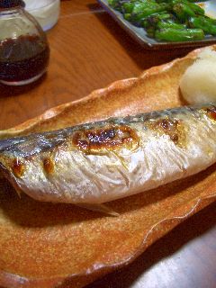 e0013727_201328.jpg