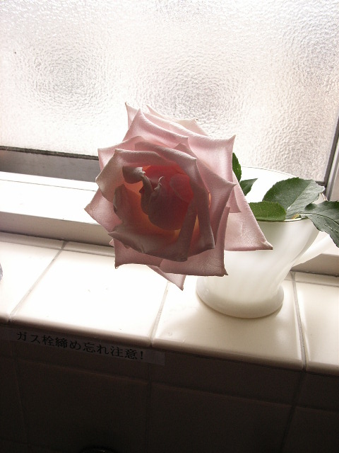 a0070831_9141846.jpg