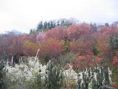 b0024439_8424854.jpg