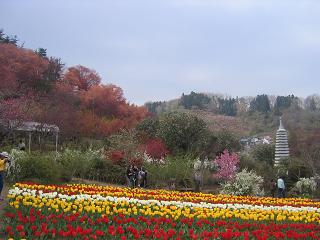 b0024439_857965.jpg