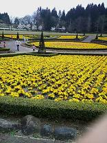 b0024439_935533.jpg