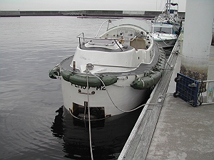 c0041039_935883.jpg