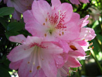 c0068639_22244623.jpg