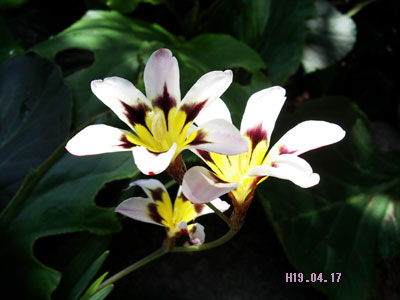 c0068639_2318077.jpg