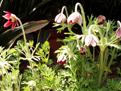 c0068639_23484329.jpg
