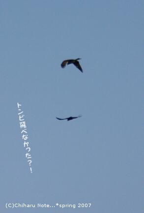 c0046340_22383683.jpg