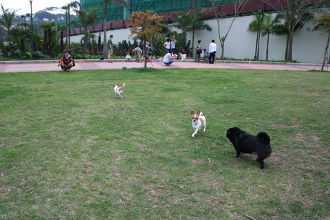 e0018143_1301077.jpg