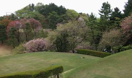 b0028746_13572040.jpg