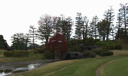 b0028746_13582523.jpg
