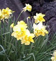 c0011446_22175060.jpg