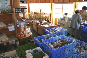 f0111546_17121886.jpg