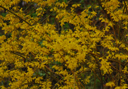 e0029553_22361450.jpg