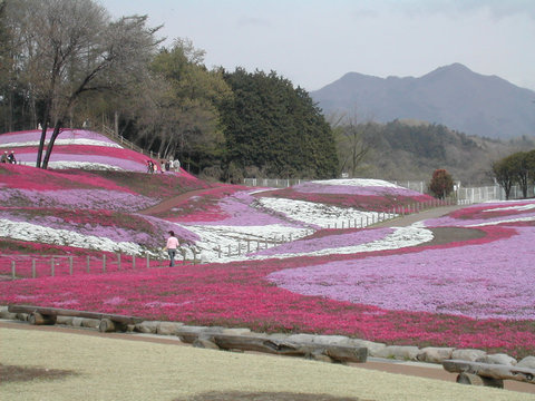 a0088456_6454540.jpg